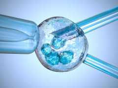 合肥代孕费用价格表,试管婴儿最多能做几次，你都了解过吗-三级7细胞胚胎移植
