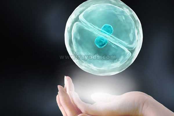 合肥试管代孕的全部费用,试管移植哪种胚胎成功率高？冻胚以及囊胚移植3种解
